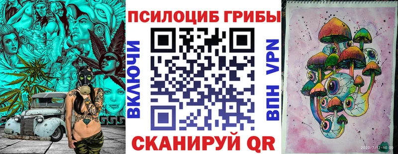Псилоцибиновые грибы GOLDEN TEACHER  наркошоп  сайты даркнета формула  Дюртюли 